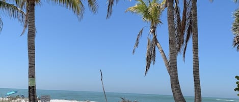 Perto da praia, espreguiçadeiras, guarda-sóis, toalhas de praia