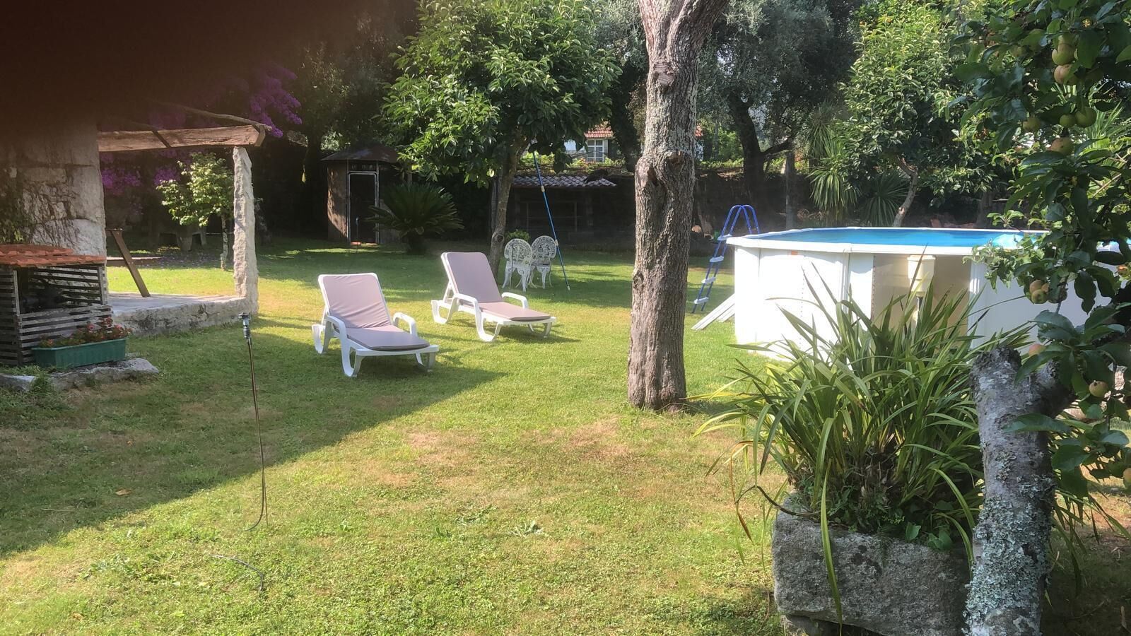 Un jardin avec une piscine, deux chaises longues, un petit abri de jardin et une plante en pot.