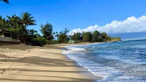 Ein Strand mit klarem, blauem Wasser, Palmen und einem sandigen Ufer.