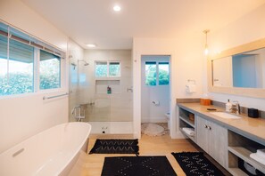 Combined shower/tub, hair dryer, bidet, towels