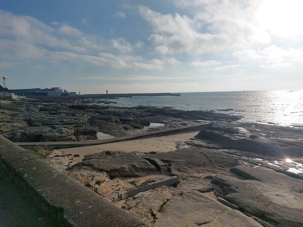A rocky shoreline with a concrete pathway leading to the water.