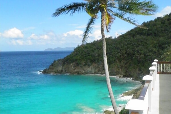 Our coconut tree. We have seen giant barracuda, eagle rays, sting rays, turtles
