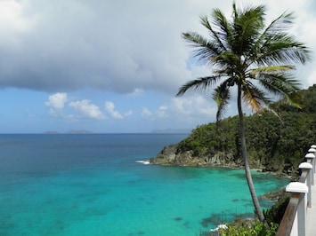 Our coconut tree and the view Tutu Bay from our deck