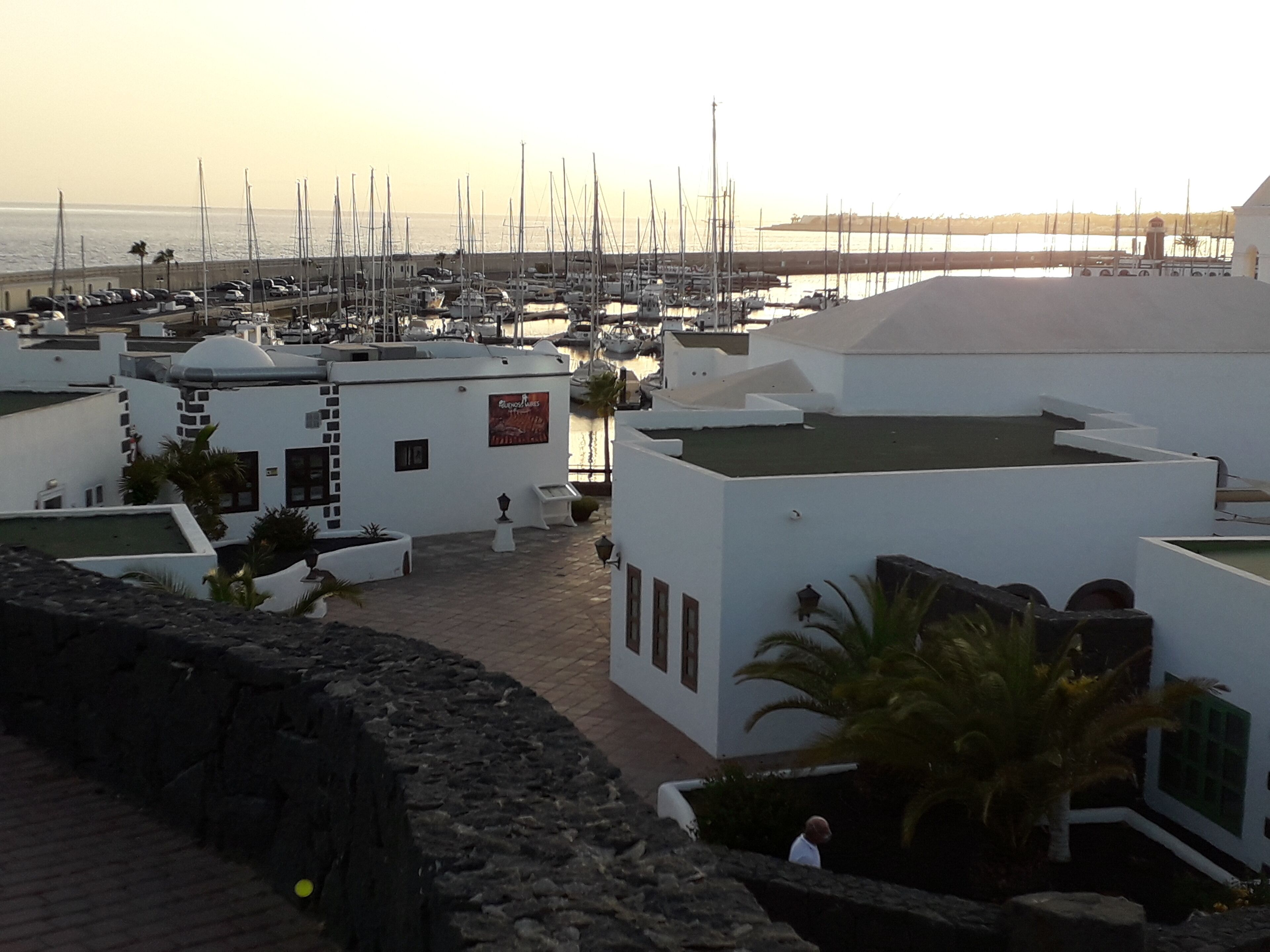 A marina with boats docked, white buildings with flat roofs, and a stone wall in the foreground.