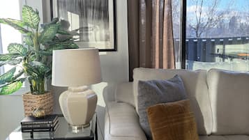 Smart TV, fireplace, table tennis