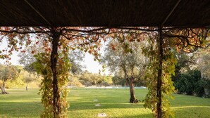 An outdoor pavilion with a thatched roof, surrounded by a grassy area with trees and a clear sky.