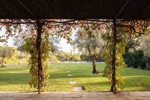 An outdoor pavilion with a thatched roof, surrounded by a grassy area with trees and a clear sky.