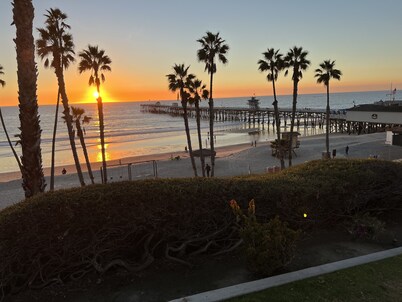 The 'Top of the World' Palmtree View Suite! 2BR/2BA