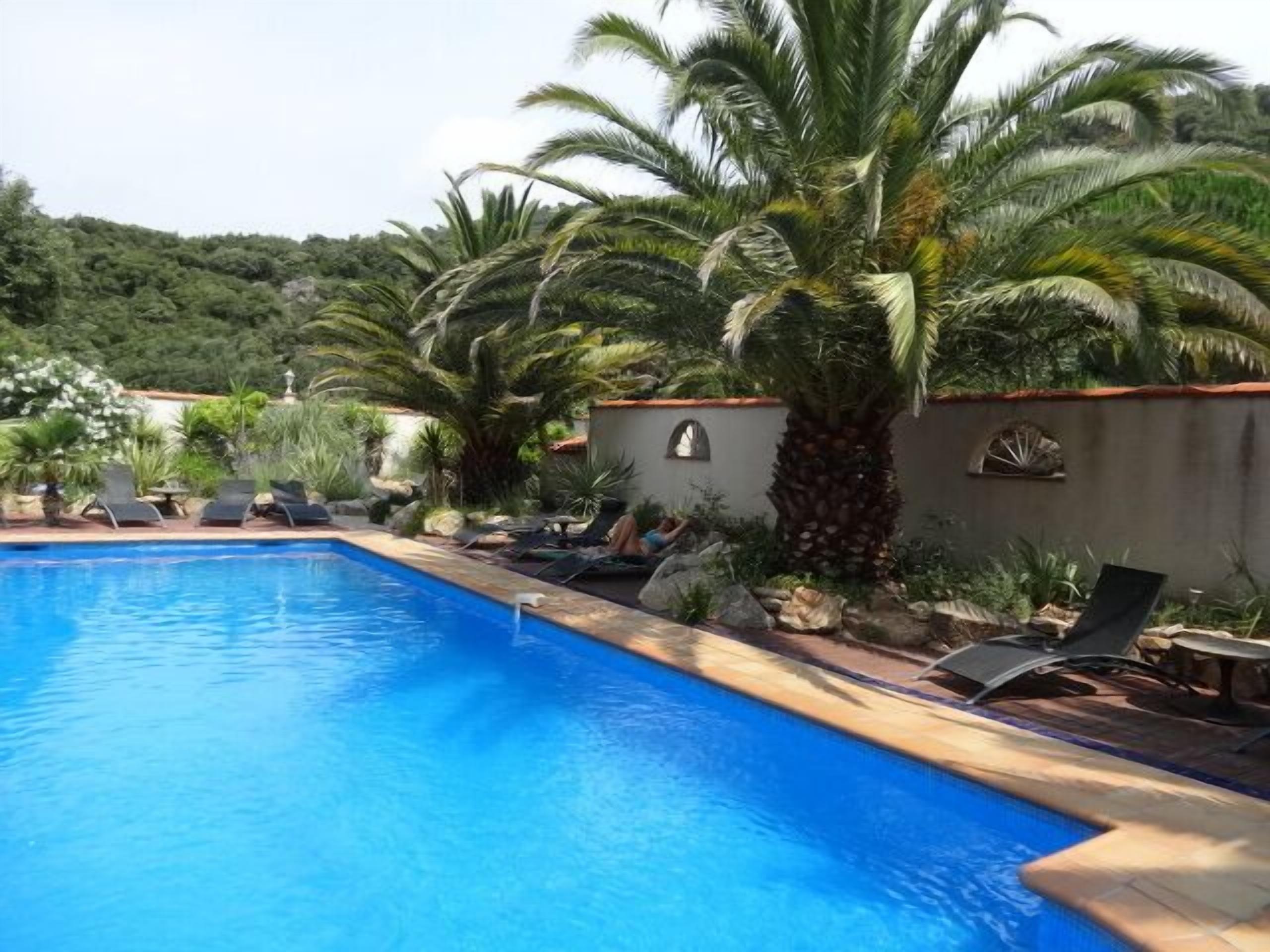 jardin des palmiers