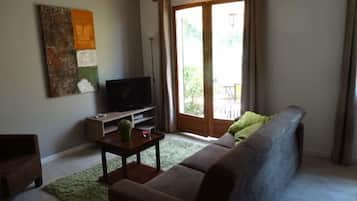 Una televisión, un reproductor de DVD, una mesa de tenis de mesa, libros