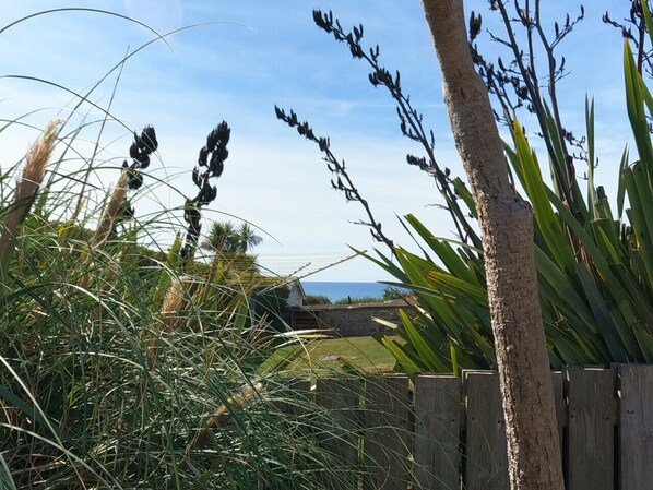 Une vue sur la côte, avec une clôture en bois, de hautes herbes et un ciel dégagé.