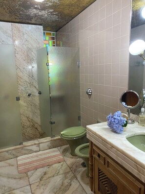 Shower, hair dryer, bidet, towels