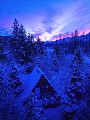 A cabin surrounded by snow-covered trees, with a mountain in the background.