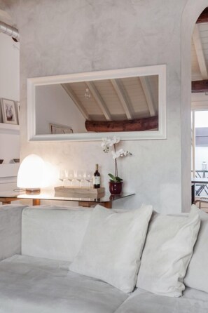 TV, DVD player, books, video library