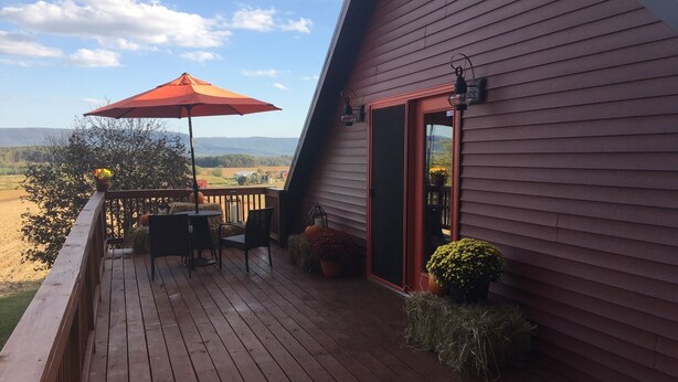 A wooden deck with a table and chairs, an umbrella, and potted plants. - THE HAY LOFT in the Beautiful Shenandoah Valley (Mt Jackson)