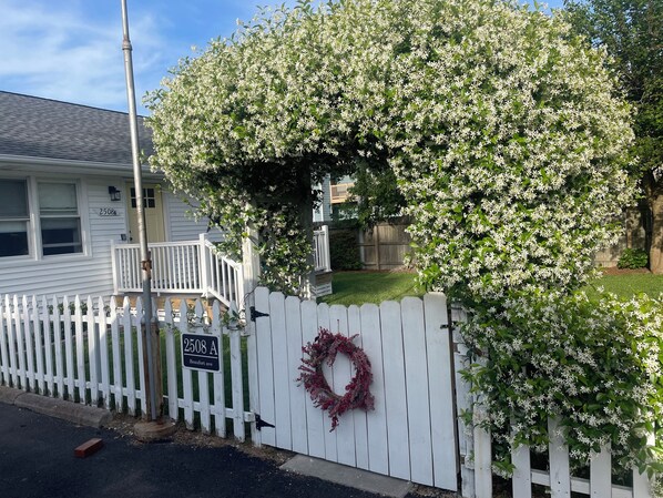 A white picket fence with a house number sign, a wreath, and a tree with white flowers.