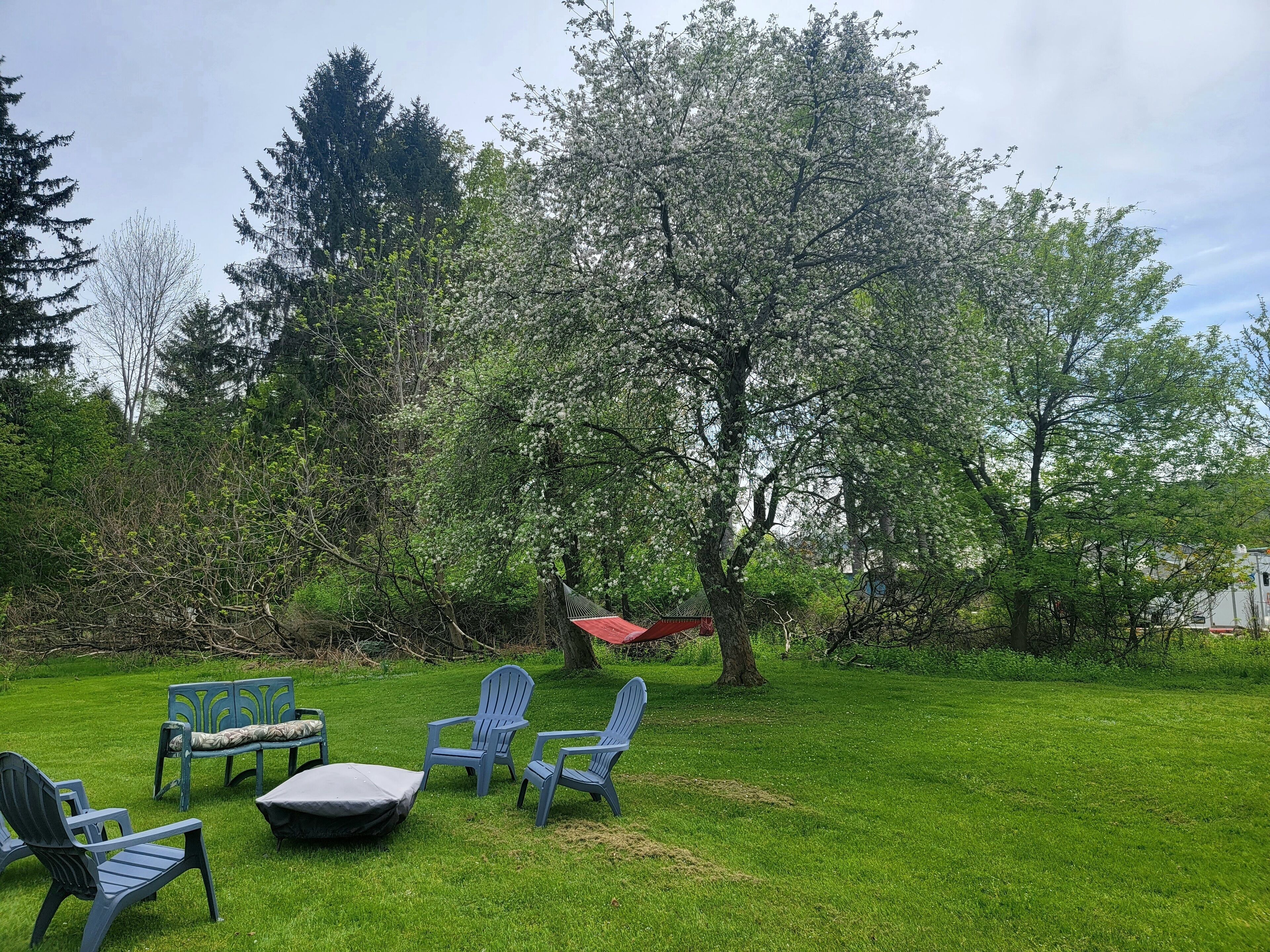 Charming Classic Village Home walking distance to St. Bonaventure University