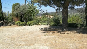 Eine trockene, kiesige Landschaft mit einem großen Baum und verschiedenen Sträuchern.