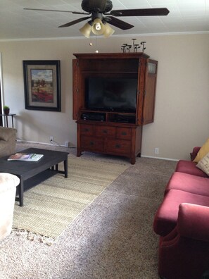 TV, DVD player, books, video library