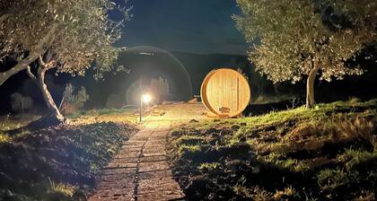 Splendid farmhouse in Val d'Orcia with private swimming pool and sauna