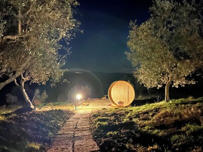 Splendid farmhouse in Val d'Orcia with private swimming pool and sauna