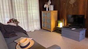 Ein gemütliches Wohnzimmer mit einer Couch, einem Fernseher, einem Schrank und einer Zimmerpflanze.