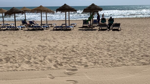 Una spiaggia con lettini e ombrelloni di paglia.