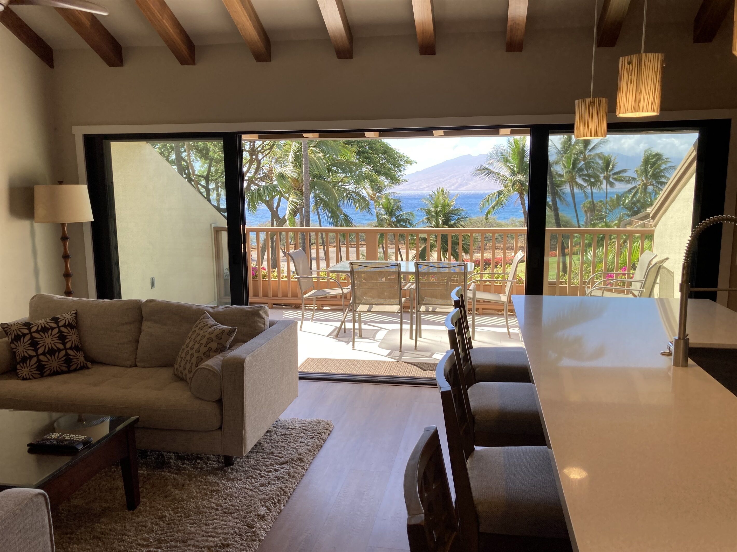 TV, DVD player, video library, stereo