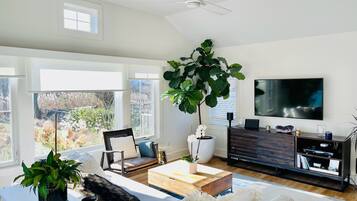 Smart TV, fireplace, DVD player, books