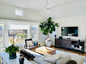 Smart TV, fireplace, DVD player, books