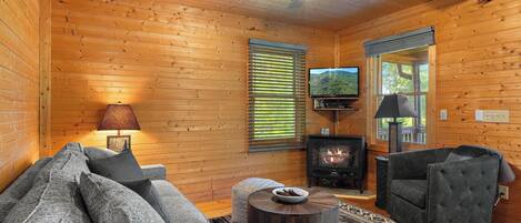 TV connectée, cheminée, lecteur de DVD, livres