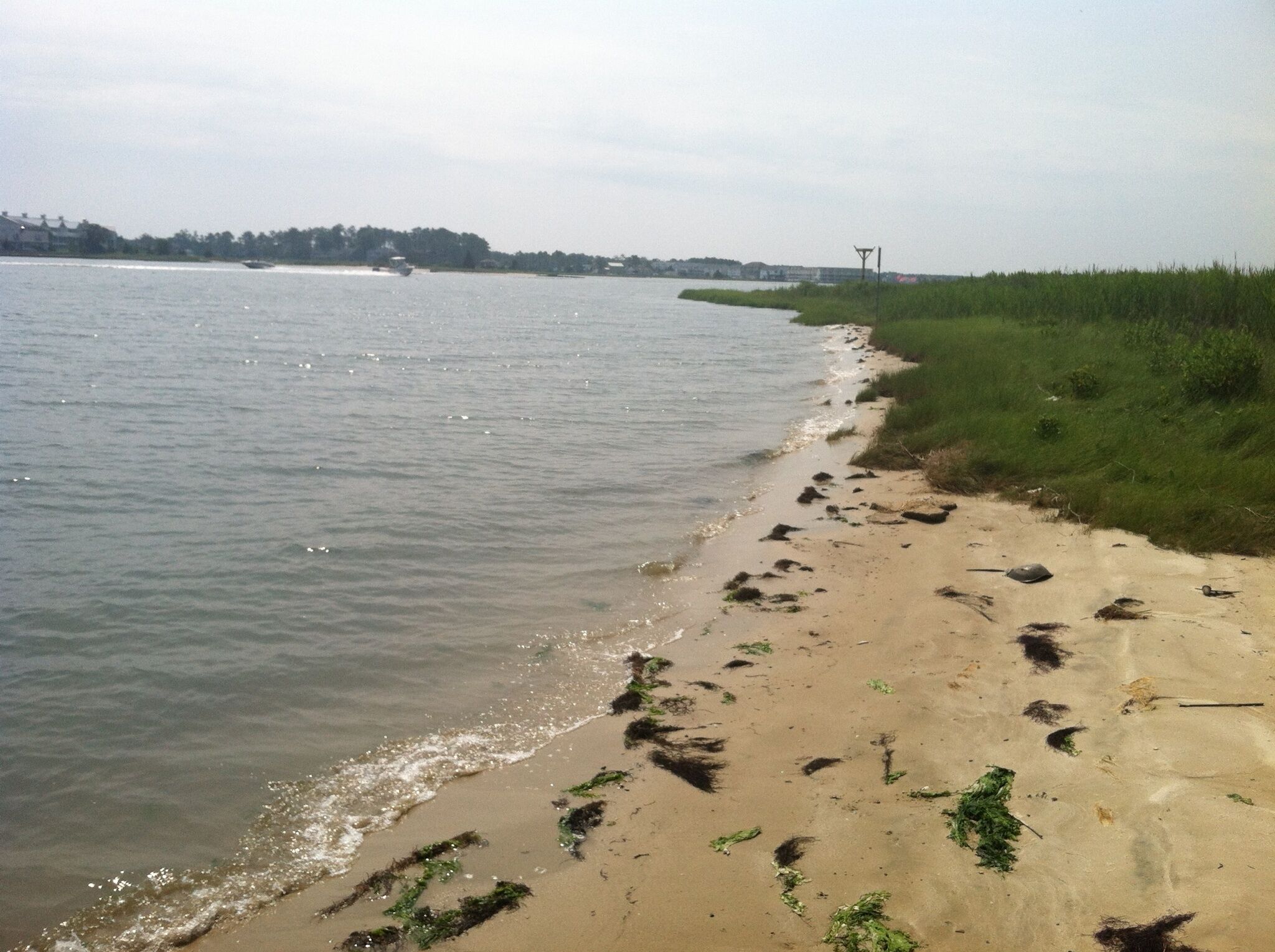 Pet Friendly, First Floor Condo That's  Handicap Accessible<br>