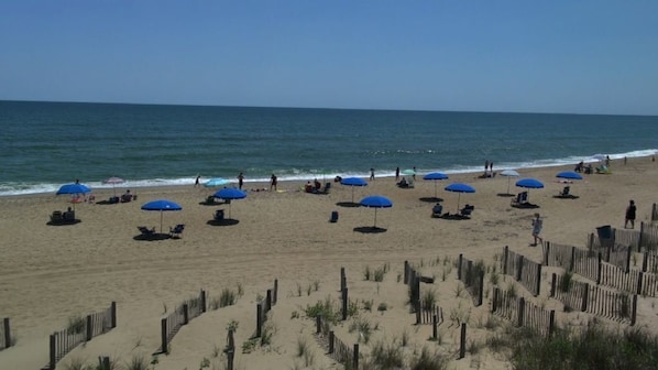 Plage à proximité