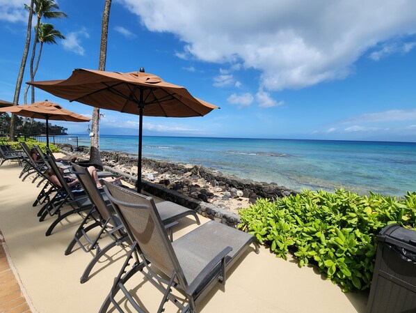 Terrace/patio - Beautiful Views from 2 bedroom Top Floor! Winter Spec #205 (Lahaina)