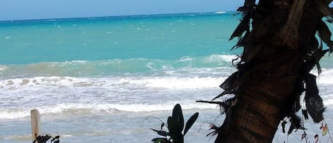 In Strandnähe, Strandtücher