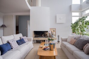 Télévision, cheminée, lecteur de DVD, livres