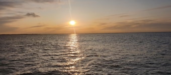 Whirlpool + fireplace + dogs welcome + fully fenced garden + free WiFi + in quiet vacation settlement directly behind the dike / beach + fully equipped + own garden terrace covered + charging possibility e-car