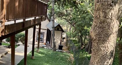 Belle maison au milieu de la forĂȘt nationale Ă Prescott AZ