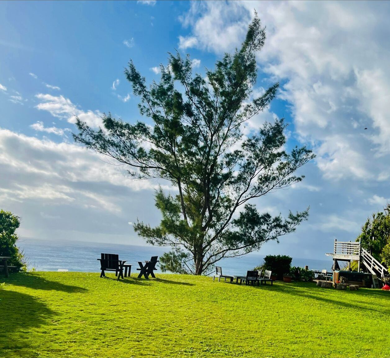 Un espace verdoyant avec un grand arbre, des sièges en plein air et une vue sur la mer.