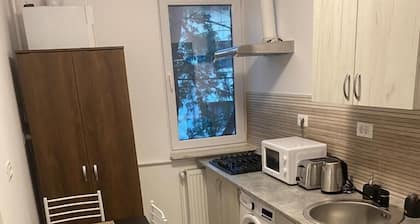 Apartament Modern 1
