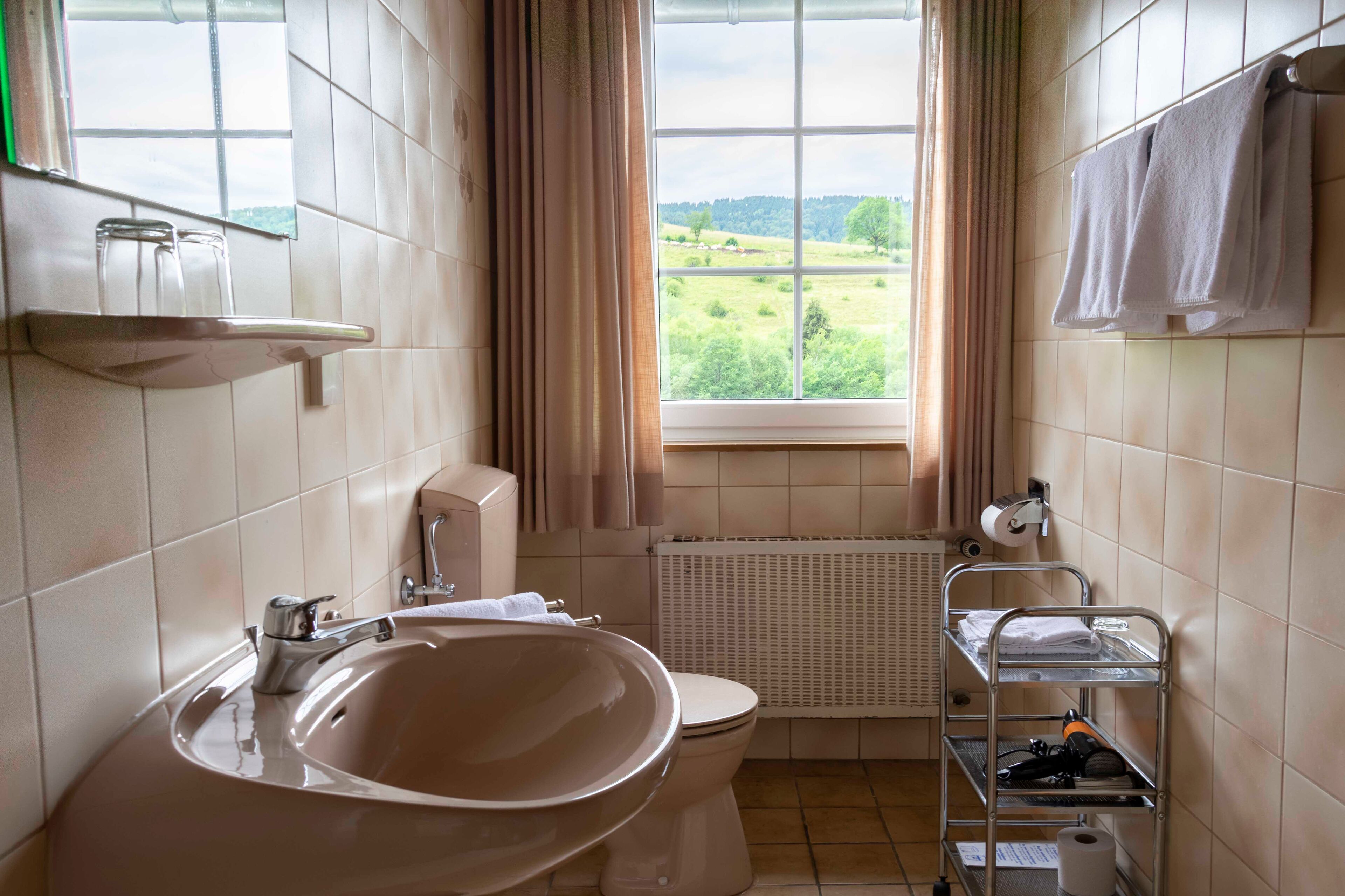 A bathroom with a sink, toilet, and a window with a view of a green landscape.