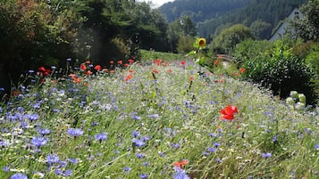 Blick auf den Garten