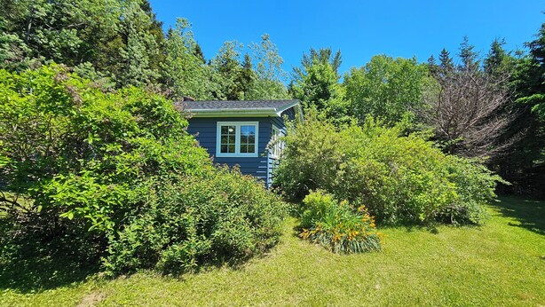 A small blue house surrounded by dense green foliage and trees.