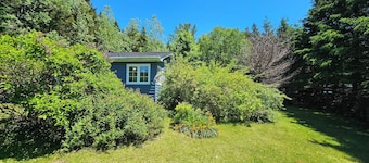 Quiet, peaceful, private country home with a large yard
