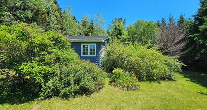 Quiet, peaceful, private country home with a large yard