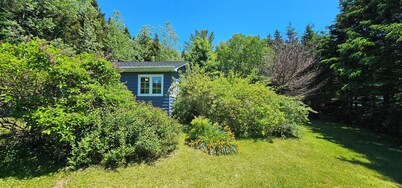 Quiet, peaceful, private country home with a large yard