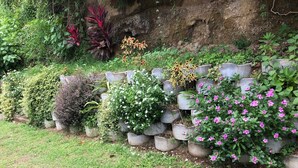 Un jardín con diversas plantas y flores, dispuestas en macetas de concreto.