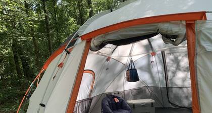 Comfy Camping At The Palms