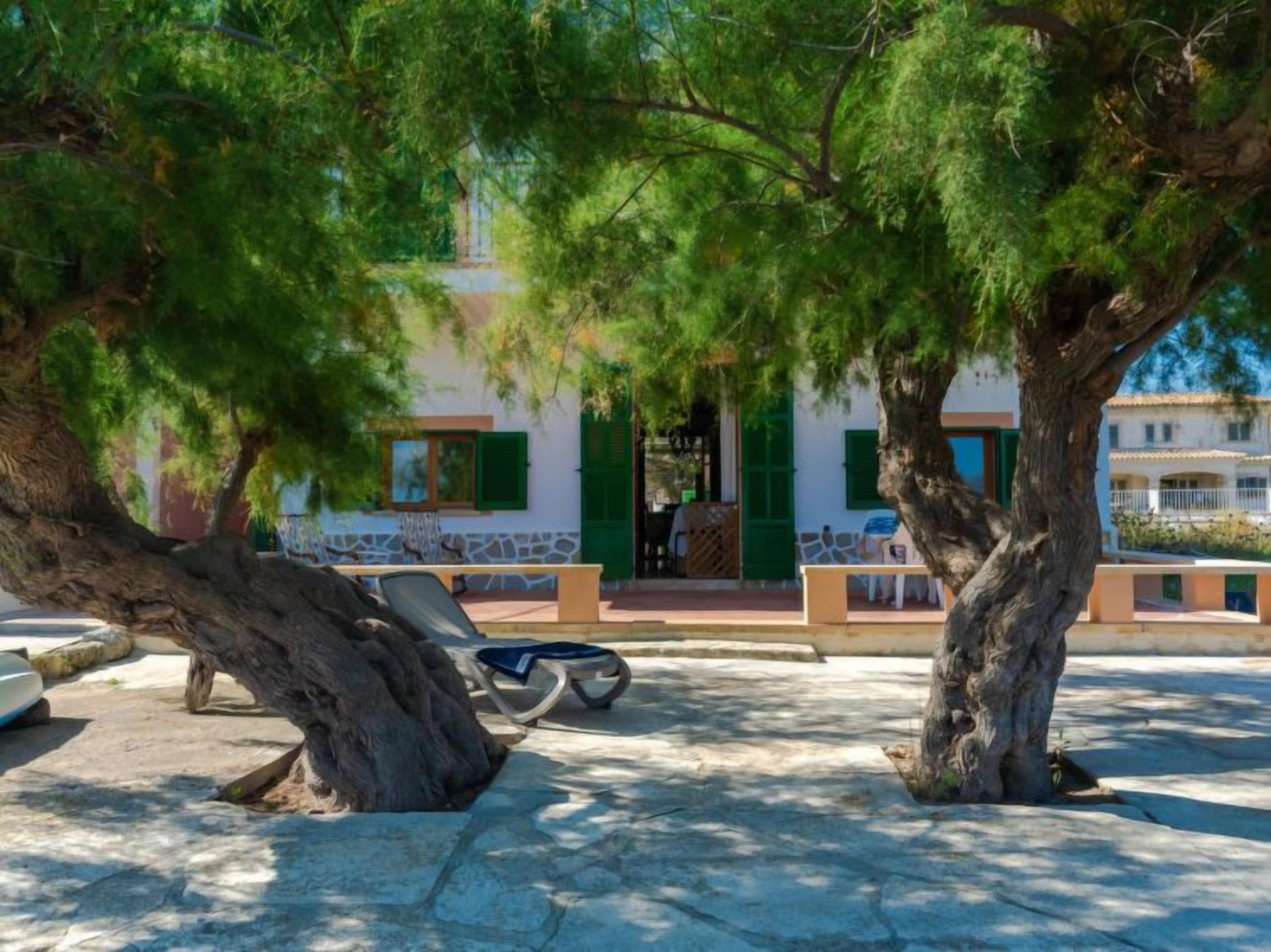 A courtyard with stone flooring, a bench, and a tree.