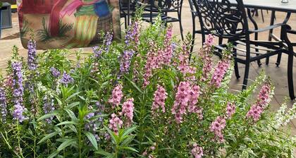The Natchez Gaol, Downtown Natchez